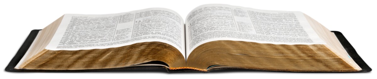 Perverse Generation Greek Interlinear Bible Overascse