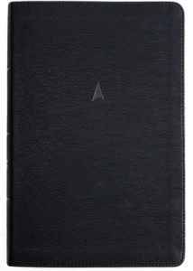 Men's Daily Bible Leather