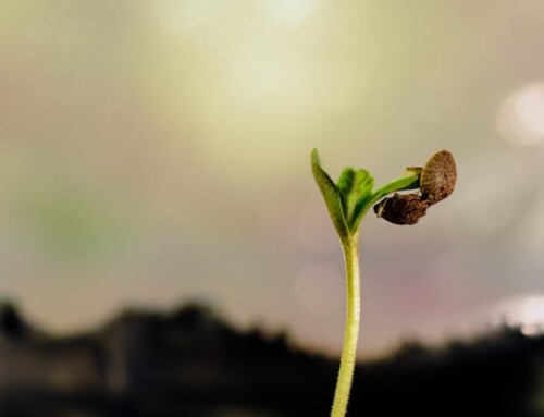 TOPIC: Can American Culture Be Renewed?